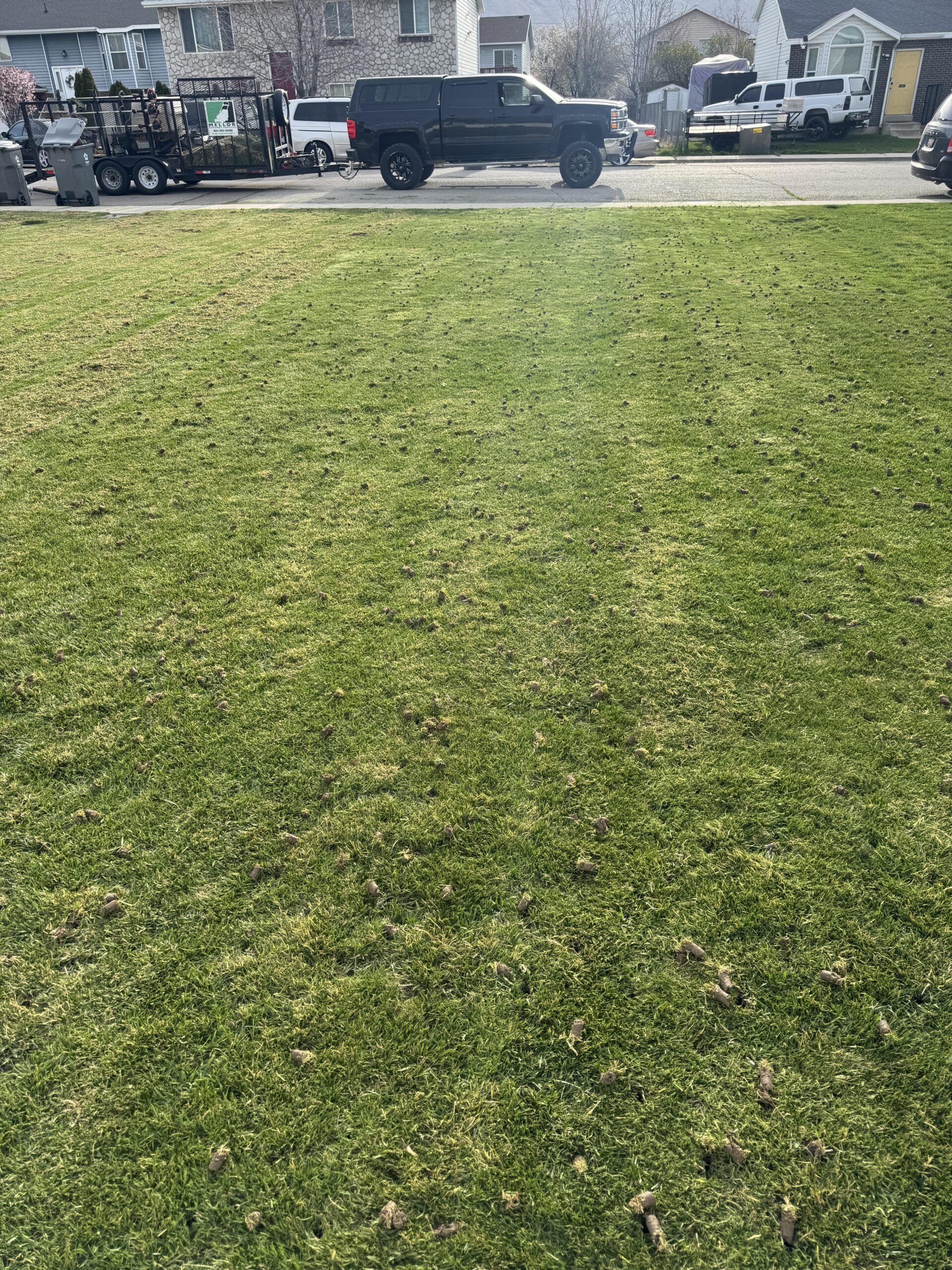 Local lawn aeration near me using a core aeration machine to improve grass health in Utah County.